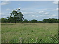 Farmland off Homefarm Lane