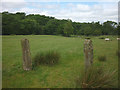 Stone gateposts near Lower Lees