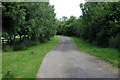 Farm track and path to Little Horton Wood