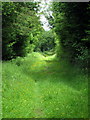 Path through Little Horton Wood towards Horton