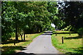 Lane into Scadbury Park