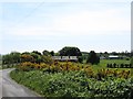 Rural settlement on the Irish border