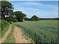 TL7128 : Bridleway to Shalford by Roger Jones