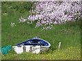 Boat and flowers, Portskerra