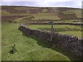 SK1980 : Dry Stone Wall, Abney Moor by Mick Garratt