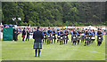 NJ0459 : European Pipe Band Championships 2013 (10) by Anne Burgess