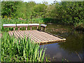 Pond dipping platform