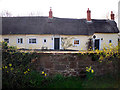 A thatched cottage at Ratten Row