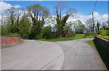 R7898 : Fork in road by Gortaganna Graveyard, near Looscaun, Co. Galway by P L Chadwick