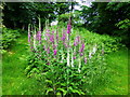 Beech Court Gardens, Challock