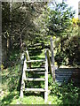 Stile leading from the forest on the Ring of Gullion Way/Ulster Way long distance path