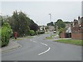 Linton Grove - viewed from Brookhill Avenue