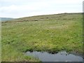 SD8778 : Blanket bog on the ridgetop west of Little Fell by Christine Johnstone