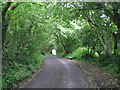 Rural road north of Pen-y-Mynydd