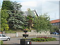 Garden and street plants