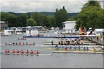 SU7682 : Boats at the finish line, Henley Royal Regatta by Simon Mortimer