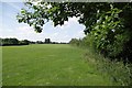 Playing Field in Runwell