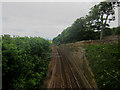 NT9856 : Looking south along the East Coast Mainline near Marshall Meadows by Graham Robson