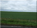 NT2389 : Crop field, East Balbairdie by JThomas