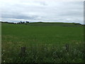 Farmland near Stenhouse Cottages