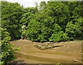 Remains of boat, Saltmill Creek