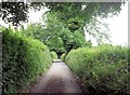 Lane at entrance to Plas Ucha