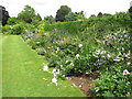 Herbaceous border, Eltham Palace