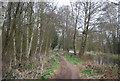 Towpath, Basingstoke Canal