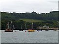 Yachts moored off Empacombe harbour