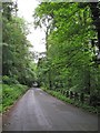 Stepney Road, Pwll