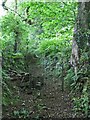 Gate in the footpath