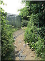 Footpath - Holme Well Road