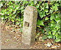 J2765 : Old gas main marker post, Lisburn (1) by Albert Bridge