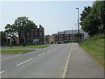 SE3128 : New Forest Way - viewed from near Sharp House Road by Betty Longbottom