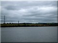 SX4461 : Pylons on Bere Ferrers peninsula by David Smith