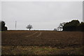 Farmland by Redricks Lane