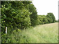 Footpath off the entrance of Rookery Farm