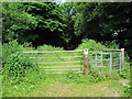 SJ2724 : Entrance gate to nature reserve near Llynclys by David Weston