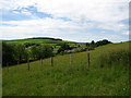 On the West Wiltshire Way