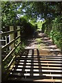 Cattle grid below Hanger Down