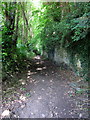 Bridleway past the Hall