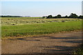 Hay field by Whittlebury Road