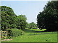 Field near Betchton House