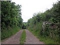 Track to Little Wilscombe Farm