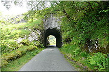 W0167 : Tunnel at Gortacreenteen by Graham Horn
