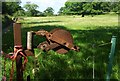 Fencing reel in Yealm valley