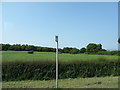 The Ulsterbus Stop for the Castleward Demesne