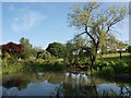 Ornamental pond in Newlands Park