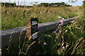 Protected Roadside Verge on the Bluestone Road by Calceby Beck