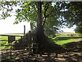 Moorland edge above Headon Gate